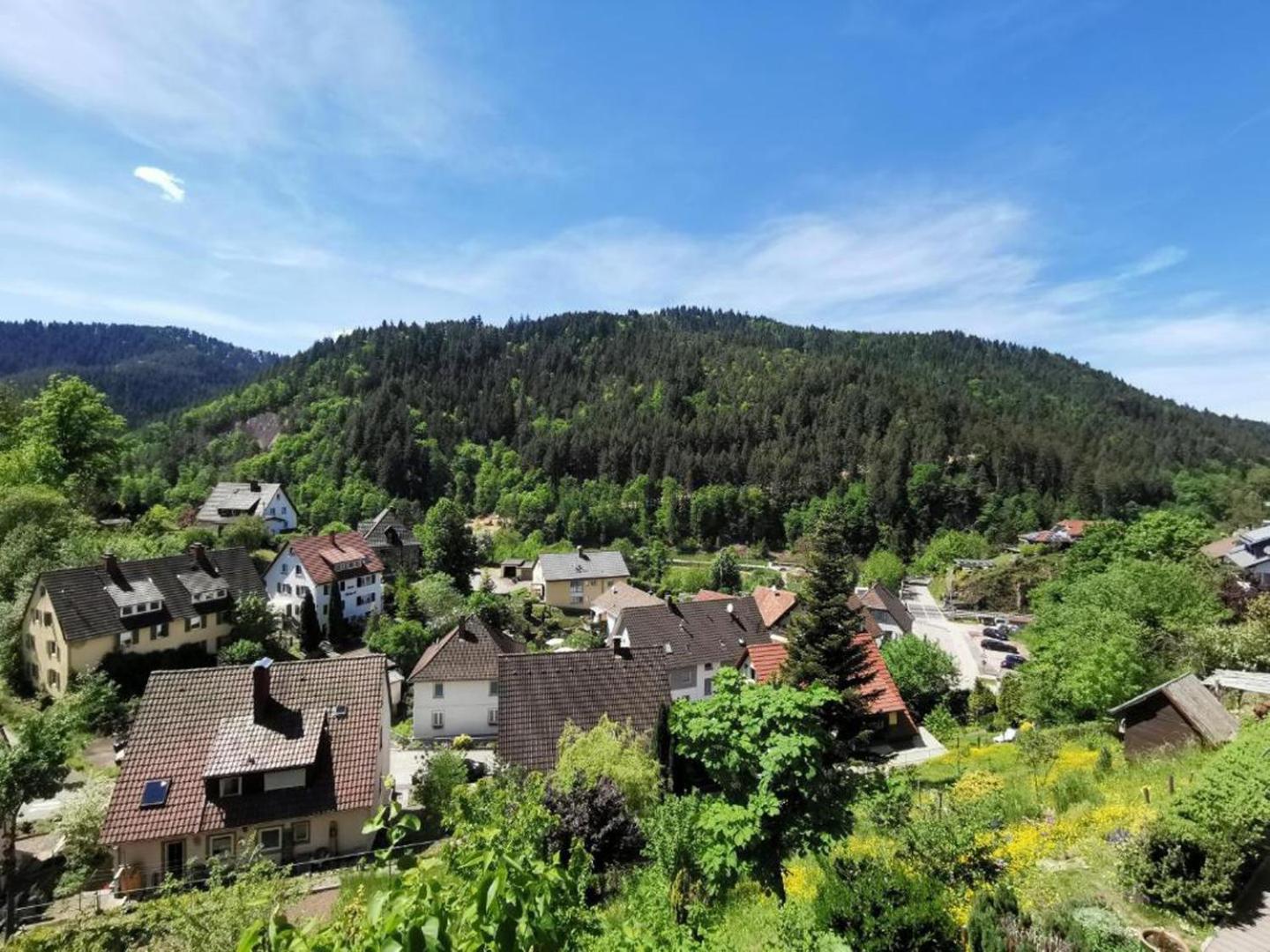 Ferienwohnung Am Rubersbach 호른베르크 외부 사진