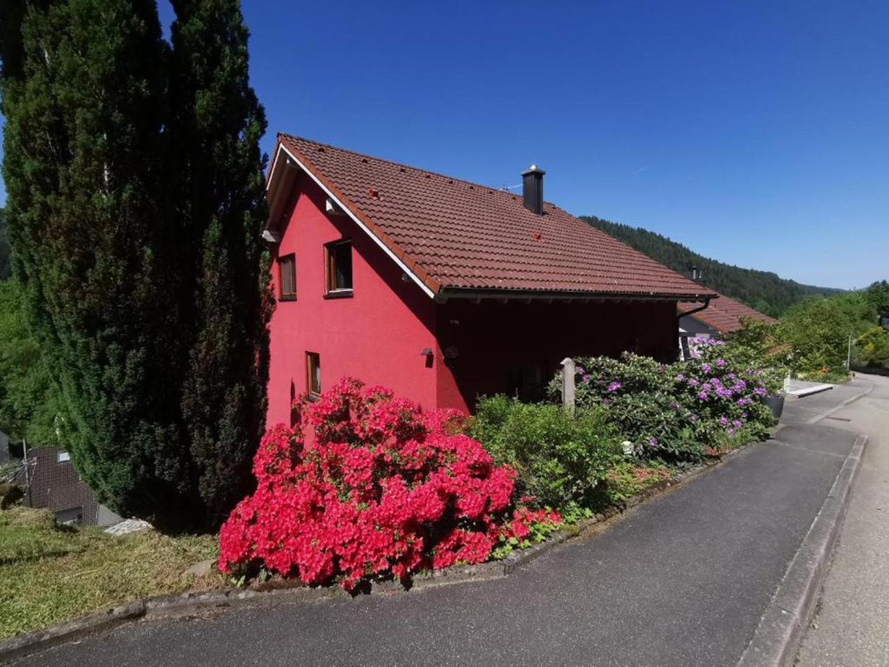 Ferienwohnung Am Rubersbach 호른베르크 외부 사진